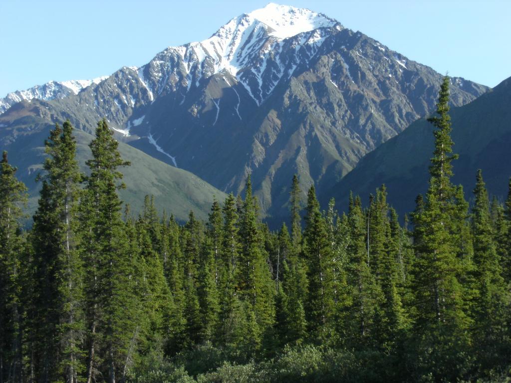 Parkside Inn Хейнс Джънкшън Екстериор снимка